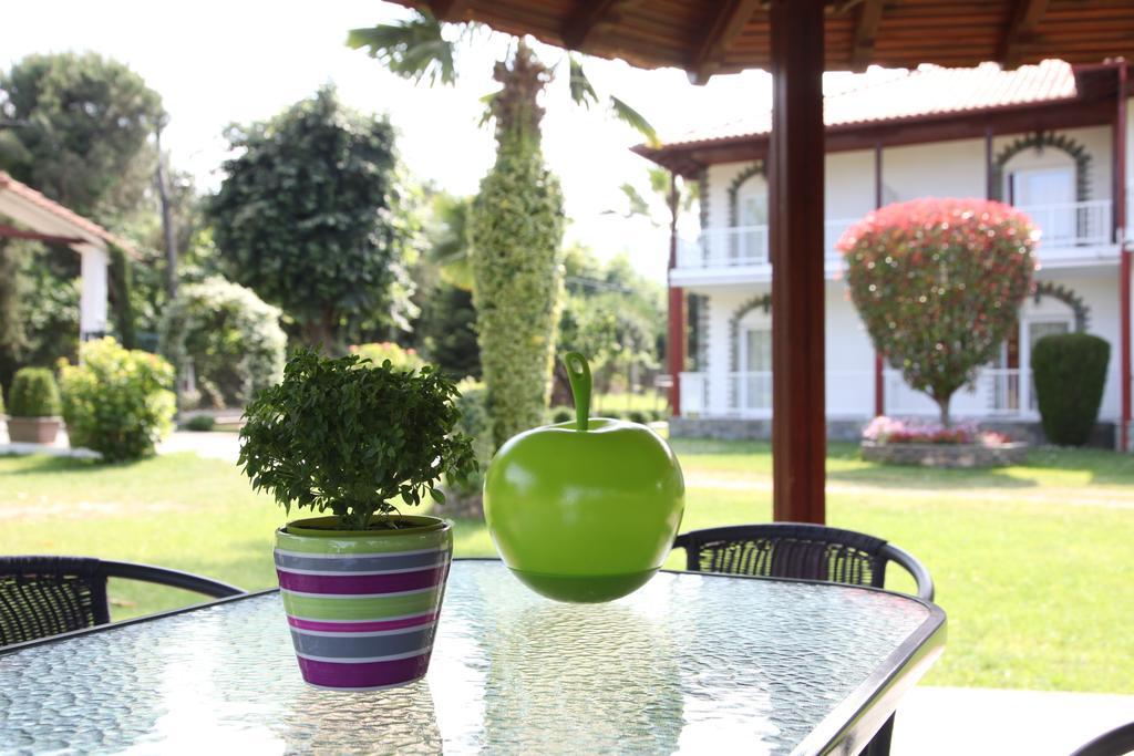 Archontiko Driani Daire Paralia Panteleimonos Dış mekan fotoğraf